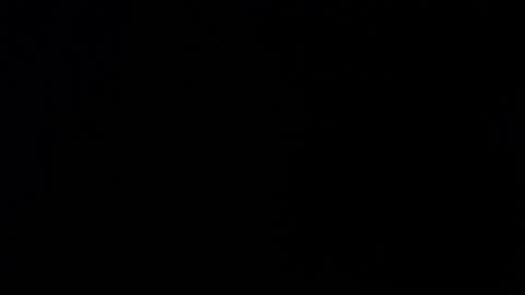 Alexa online show from November 26, 11:55 am