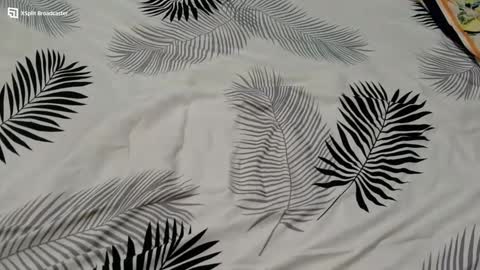 _ellie_destiny_xxx online show from December 2, 9:10 am