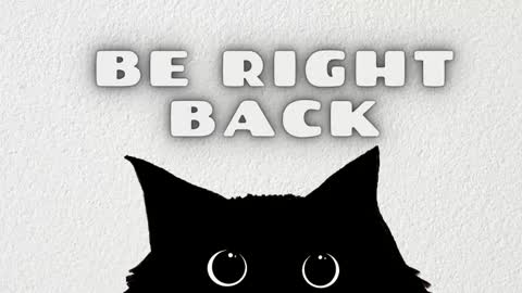 Stefany online show from November 9, 12:23 pm