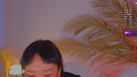 Snapshot of a1ly chatting on December 7, 12:35 pm Ally online show from December 7, 12:35 pm
