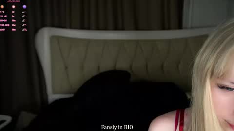 Amy online show from November 12, 3:10 pm