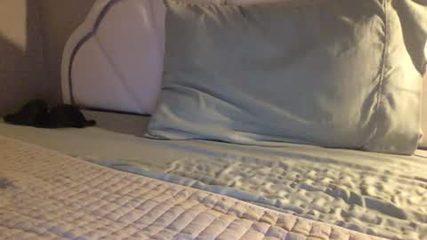 ab_cj online show from June 28, 2:29 am