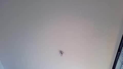Snapshot of abbi_moon chatting on January 12, 1:48 pm Martina online show from January 12, 1:48 pm