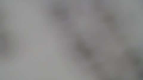 ABBY online show from February 5, 1:00 pm