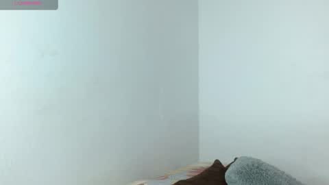   online show from April 18, 7:58 pm