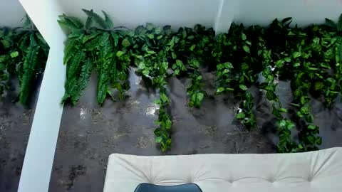 Alice online show from December 1, 8:00 pm