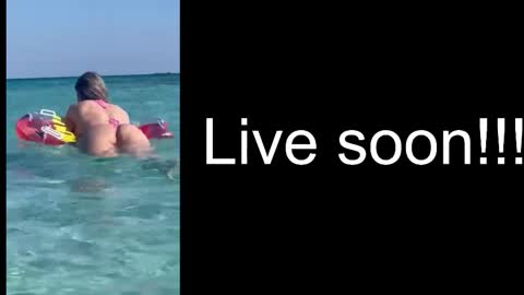 Allie online show from December 2, 5:42 am