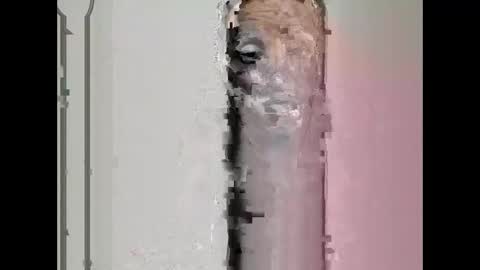 alysspace online show from September 28, 2:40 am