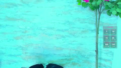  AMELIA.  online show from March 14, 4:24 am