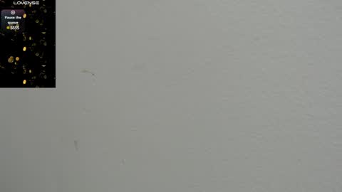 Amy online show from January 27, 1:19 pm