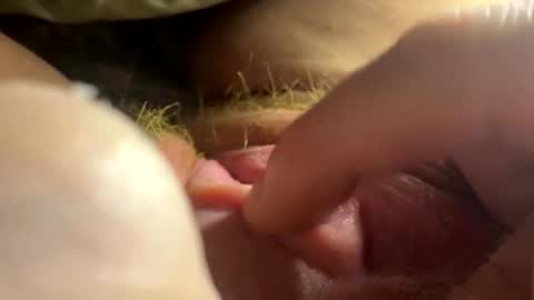 anastasia online show from February 26, 2:54 am