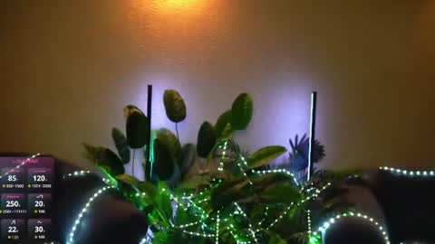 Anita online show from July 28, 4:43 am