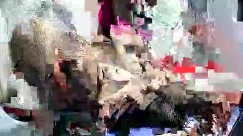 Snapshot of anna_ellen22 chatting on September 21, 10:08 pm anna_ellen22 online show from September 21, 10:08 pm