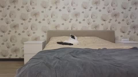 Snapshot of annabel_themoon chatting on October 13, 5:10 am annabel_themoon online show from October 13, 5:10 am