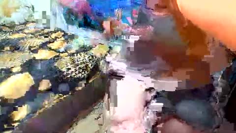 Snapshot of annaxgoldx chatting on September 19, 8:35 am AnnaxGoldX online show from September 19, 8:35 am