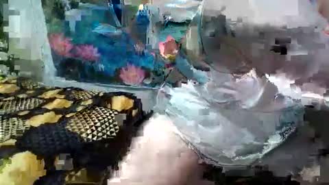 Snapshot of annaxgoldx chatting on October 19, 6:26 am AnnaxGoldX online show from October 19, 6:26 am
