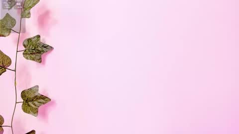 Snapshot of annebull_ chatting on February 2, 9:23 pm Anne online show from February 2, 9:23 pm