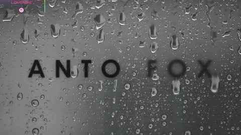 Snapshot of antofoxwbc chatting on March 3, 6:53 am Anto online show from March 3, 6:53 am