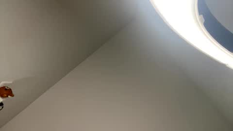 Anto  online show from December 5, 3:06 am