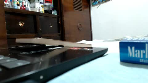 ANY CAT online show from April 23, 5:04 am