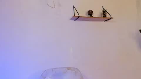 aprillebony319262 online show from April 11, 3:23 am