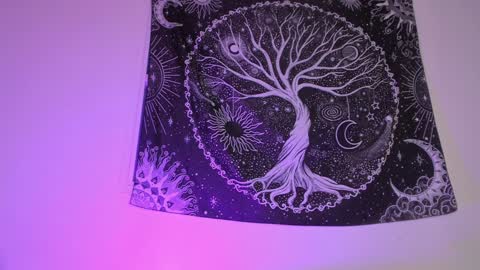 Aram 3 online show from January 27, 6:41 am