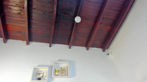  ARI  online show from November 8, 4:06 am