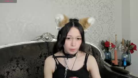 Arietti online show from July 26, 1:41 pm