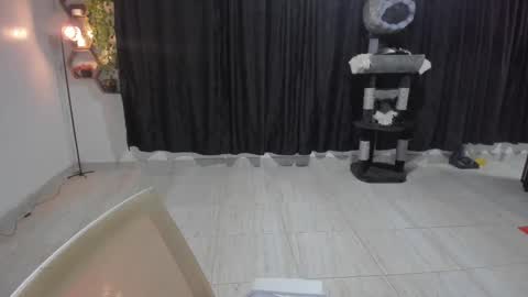Snapshot of artemis_020 chatting on September 10, 1:38 am FENIX online show from September 10, 1:38 am