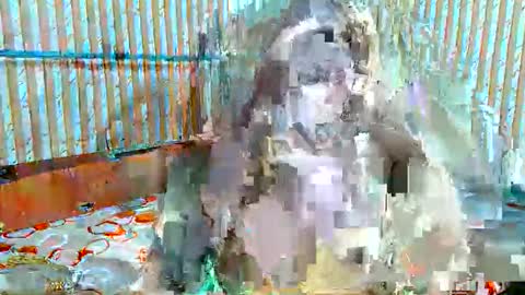 asiancutiechubby online show from January 11, 12:10 pm