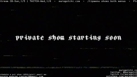 Snapshot of auragotchi chatting on January 4, 11:06 pm Aurora Aura online show from January 4, 11:06 pm
