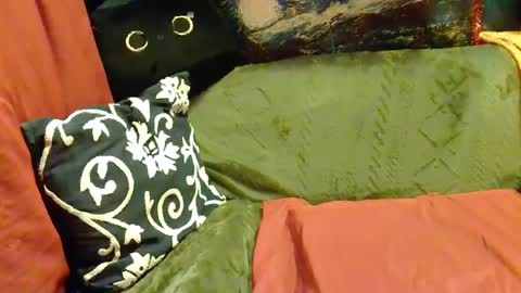 raven blue online show from February 20, 2:46 pm