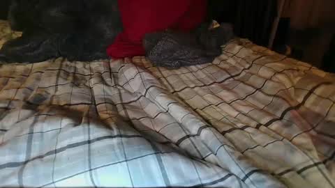 raven blue online show from September 16, 11:18 am