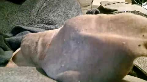 Axelle online show from November 7, 10:25 pm