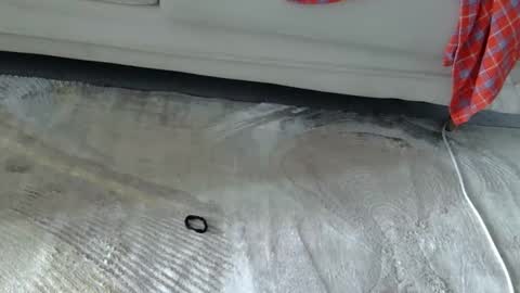 Baddest online show from March 1, 8:02 am