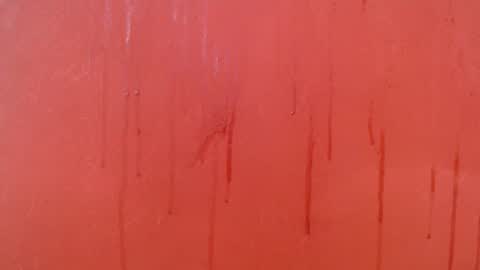 bayonette_black online show from November 28, 7:17 pm