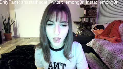 Snapshot of bbshasta chatting on January 25, 4:56 am Shasta online show from January 25, 4:56 am