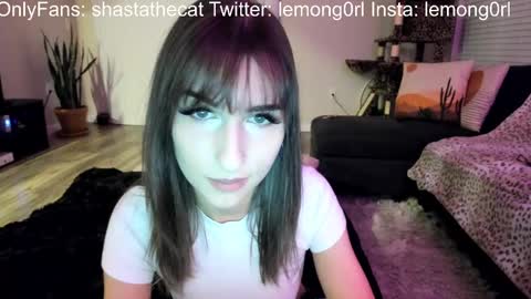 Snapshot of bbshasta chatting on February 11, 4:22 am Shasta online show from February 11, 4:22 am