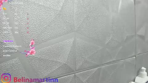 Snapshot of belinamartin254 chatting on October 12, 2:14 am belinamartin online show from October 12, 2:14 am