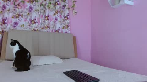 Snapshot of bella_gentle chatting on March 10, 10:18 am bella_gentle online show from March 10, 10:18 am