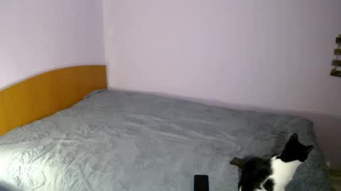 Snapshot of bellaqueen0701 chatting on March 6, 5:33 pm bellaqueen0701 online show from March 6, 5:33 pm
