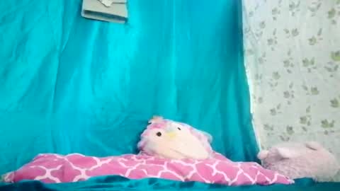 bheb_ji online show from July 6, 12:49 am