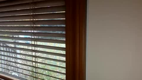 bigbuttmilff online show from October 31, 1:37 pm