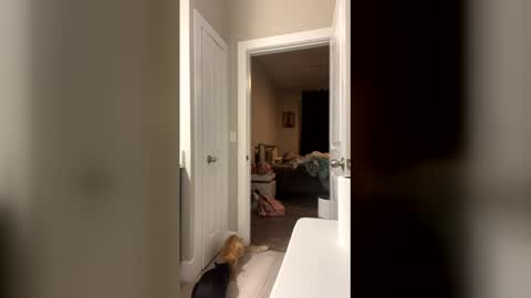 bignaturalmami online show from May 19, 2:51 am