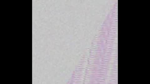 Starlyte online show from March 2, 8:25 pm