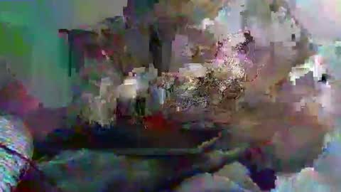 blowlena999 online show from November 30, 7:34 am