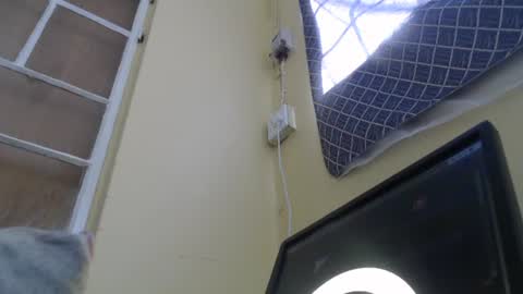 Tee online show from November 2, 6:17 am