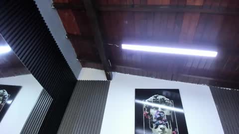   online show from February 3, 6:40 am