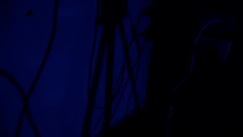 Brenda online show from July 28, 8:52 pm