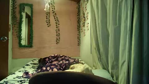 paula online show from July 30, 1:50 am